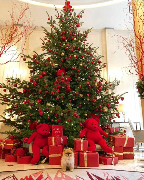 Noël est tout proche